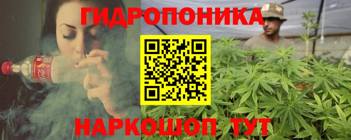Шишки марихуана план  Шишки марихуана MAZAR  Гагарин  Вход с VPN 