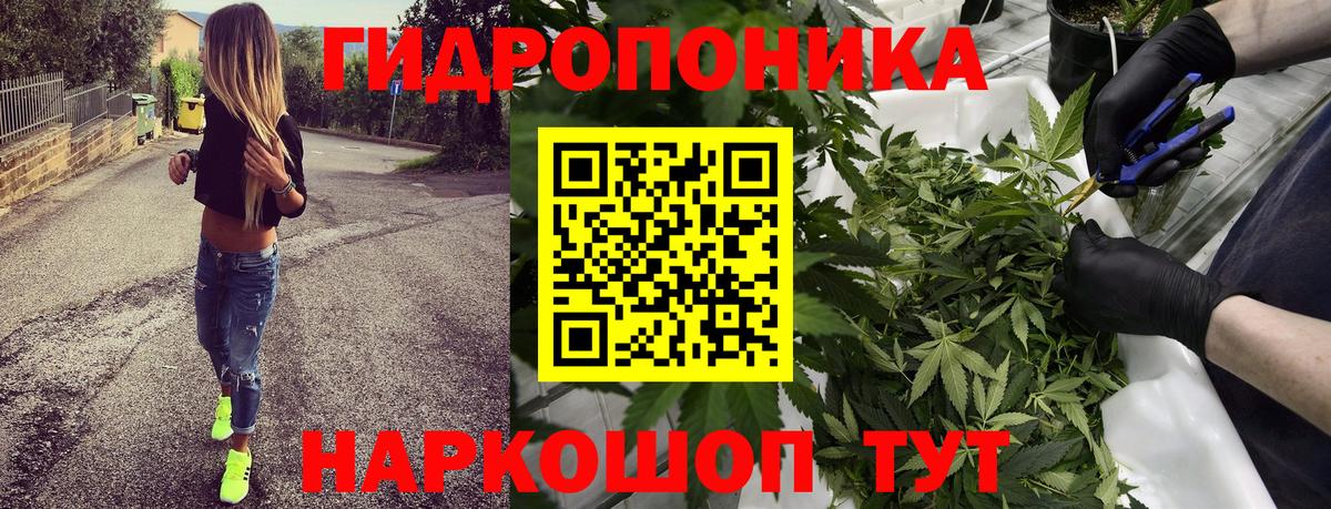 Канабис индика  Гагарин  Шишки марихуана сатива  Конопля план  Канабис THC 21% 